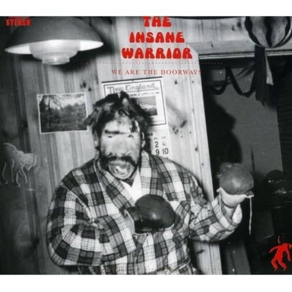 The Insane Warrior (Rjd2) - We Are The Doorways i gruppen CD / Toppselgere hos Bengans Skivbutik AB (5693772)