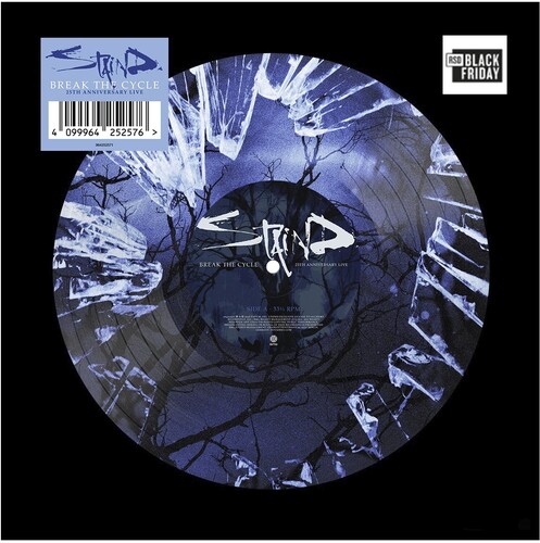 Staind - Break The Cycle (25Th Anniversary Live) (Picture Disc) (Rsd) i gruppen VINYL / Metal hos Bengans Skivbutik AB (5694326)