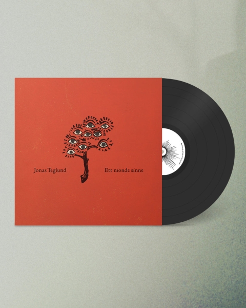 Jonas Teglund - Ett Nionde Sinne i gruppen VINYL / Pop-Rock hos Bengans Skivbutik AB (5694504)