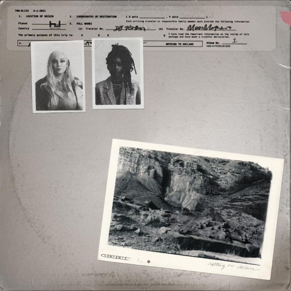 700 Bliss - Nothing To Declare (Clear Vinyl) i gruppen VINYL / Pop-Rock hos Bengans Skivbutik AB (5694689)