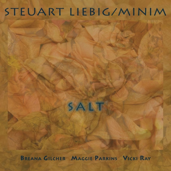 Steuart Liebig/Minim - Salt i gruppen CD / Kommende / Jazz hos Bengans Skivbutik AB (5695074)