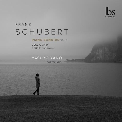 Franz Schubert - Fortepiano Sonatas i gruppen CD / Klassisk hos Bengans Skivbutik AB (5695585)