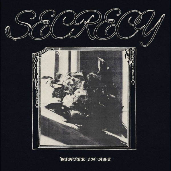 Secrecy - Winter In A&E i gruppen VINYL / Kommende / Pop-Rock hos Bengans Skivbutik AB (5695690)