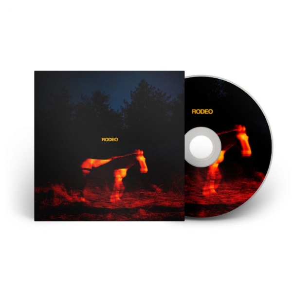 Daytime Tv - Rodeo i gruppen CD / Kommende / Pop-Rock hos Bengans Skivbutik AB (5696120)