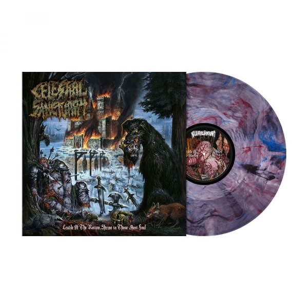 Celestial Sanctuary - Cradle Of The Rotten, Shrine To Tho i gruppen VINYL / Kommende / Metal hos Bengans Skivbutik AB (5696123)