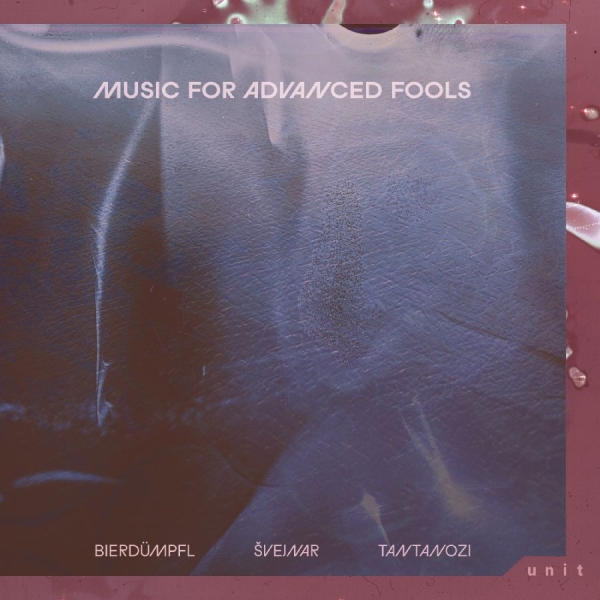Bierdu?Mpfl / S?Vejnar / Tantanozi - Music For Advanced Fools i gruppen VINYL / Kommende / Jazz hos Bengans Skivbutik AB (5696364)