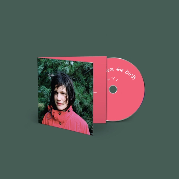 Adrianne Lenker - Hours Were The Birds i gruppen CD / Kommende / Pop-Rock hos Bengans Skivbutik AB (5696730)