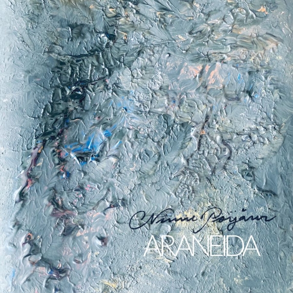 Ninni Poijärvi - Araneida i gruppen CD / Kommende / Pop-Rock hos Bengans Skivbutik AB (5696732)