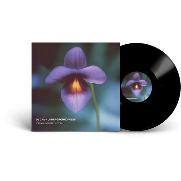 DJ Cam - Underground Vibes i gruppen VINYL / Toppselgere hos Bengans Skivbutik AB (5696939)