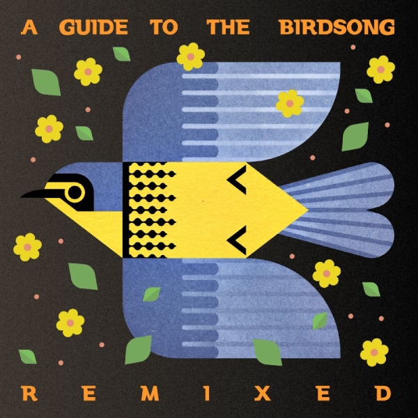 Various Artists - A Guide To The Birdsong Remixed i gruppen CD / Mest forhåndsbestilt hos Bengans Skivbutik AB (5697668)