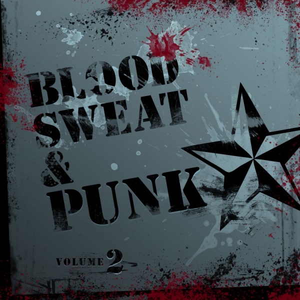 Various Artists - Blood, Sweat And Punk Volume 2 i gruppen CD / Toppselgere hos Bengans Skivbutik AB (573880)