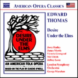 Thomas Ambroise - Desire Under The Elms i gruppen CD hos Bengans Skivbutik AB (575344)
