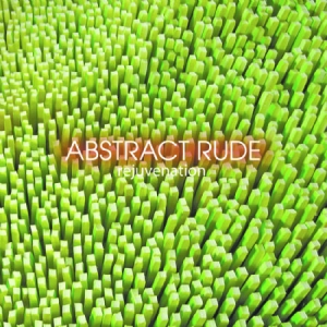 Abstract Rude - Rejuvenation i gruppen CD hos Bengans Skivbutik AB (579915)