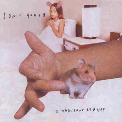 Sonic Youth - Thousand Leaves i gruppen CD / Toppselgere hos Bengans Skivbutik AB (581004)