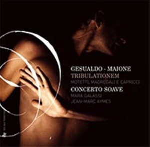 Gesualdo - Tribulationem i gruppen CD / Annet hos Bengans Skivbutik AB (588364)