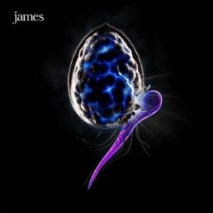 James - Night Before i gruppen CD / Pop hos Bengans Skivbutik AB (589886)