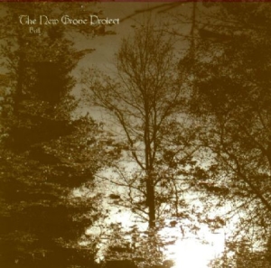 New Grove Project - Brill i gruppen CD / Metal/ Heavy metal hos Bengans Skivbutik AB (595246)