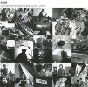 Gubb - 2004 i gruppen CD hos Bengans Skivbutik AB (595292)