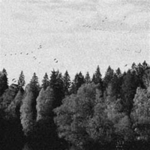 October Falls - A Collapse Of Faith i gruppen CD hos Bengans Skivbutik AB (595480)