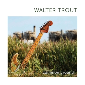 Walter Trout - Common Ground i gruppen CD / Blues,Pop-Rock hos Bengans Skivbutik AB (596529)