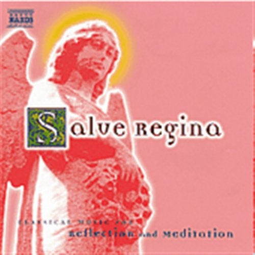 Various - Salve Regina i gruppen CD / Toppselgere hos Bengans Skivbutik AB (596649)
