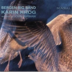 Krog Karin - Seagull i gruppen CD hos Bengans Skivbutik AB (597390)