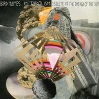 Bird Names - Metabolism: A Salute To The En Ergy i gruppen CD hos Bengans Skivbutik AB (597809)