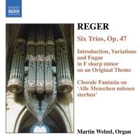 Reger Max - Organ Works Vol 6 i gruppen CD hos Bengans Skivbutik AB (598572)