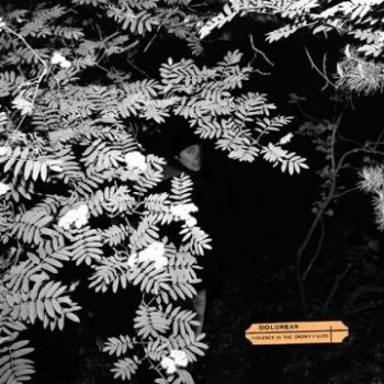Dolorean - Violence In The Snowy Fields i gruppen CD / Toppselgere hos Bengans Skivbutik AB (601160)