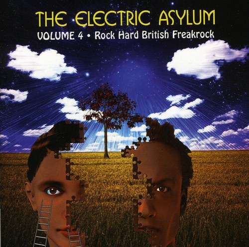 Various Artists - Electric Asylum Vol 4 i gruppen Annet / hos Bengans Skivbutik AB (603424)