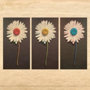 Telemachus - In The Evening i gruppen CD / Pop-Rock hos Bengans Skivbutik AB (603908)