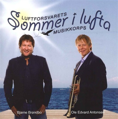 Various - Sommer I Lufta i gruppen Externt_Lager / Naxoslager hos Bengans Skivbutik AB (605001)
