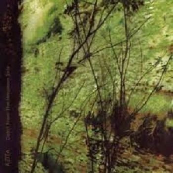 Azita - Detail From The Mountain Side i gruppen CD / Rock hos Bengans Skivbutik AB (611054)
