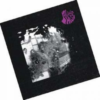 Purling Hiss - Water On Mars i gruppen CD / Toppselgere hos Bengans Skivbutik AB (611715)