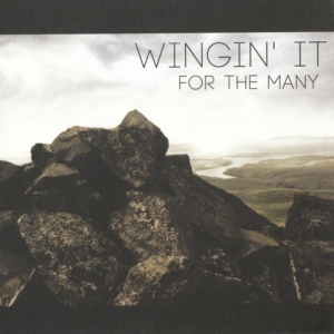Wingin' It - For The Many i gruppen CD / Pop-Rock hos Bengans Skivbutik AB (611974)