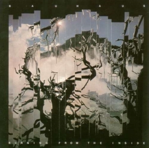 Bauhaus - Burning From The Inside i gruppen CD / Pop-Rock hos Bengans Skivbutik AB (614176)