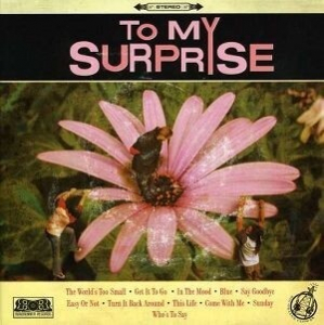To My Surprise - To My Surprise i gruppen CD / CD Metal hos Bengans Skivbutik AB (616994)
