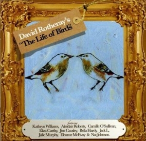 Rotheray David - Life Of Birds i gruppen CD hos Bengans Skivbutik AB (618591)