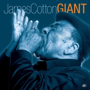 Cotton James - Giant i gruppen Annet /  hos Bengans Skivbutik AB (620057)