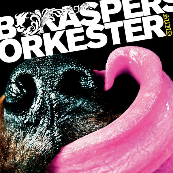 Bo Kaspers Orkester - Hund i gruppen CD / Toppselgere hos Bengans Skivbutik AB (621489)