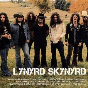 Lynyrd Skynyrd - Icon i gruppen Minishops / Lynyrd Skynyrd hos Bengans Skivbutik AB (622752)