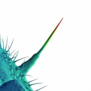 Blandade Artister - And I'll Scratch Yours (Songs By Pe i gruppen CD hos Bengans Skivbutik AB (626258)