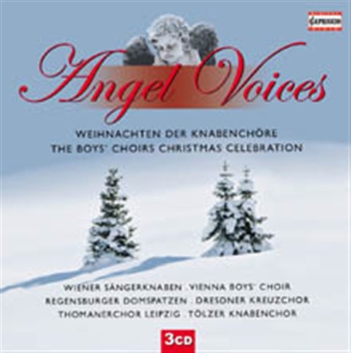 Angel Voices - The Boys Choirs Christmas i gruppen CD / Klassisk hos Bengans Skivbutik AB (627447)