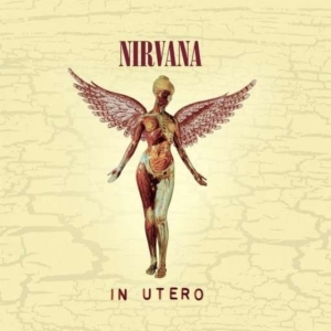 NIRVANA - IN UTERO - 20TH ANNIVERSARY i gruppen -Start Uni-CD hos Bengans Skivbutik AB (629828)
