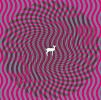 Deerhunter - Cryptograms i gruppen CD / Pop-Rock hos Bengans Skivbutik AB (629882)