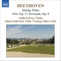 Beethoven - String Trios Volume 1 i gruppen CD hos Bengans Skivbutik AB (629929)