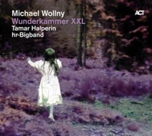 Michael Wollny - Wunderkammer Xxl i gruppen CD hos Bengans Skivbutik AB (629974)