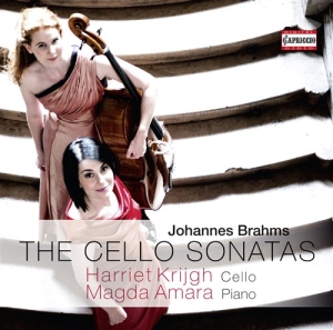 Brahms - Cello Sonatas i gruppen CD hos Bengans Skivbutik AB (631659)