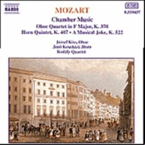Mozart Wolfgang Amadeus - Chamber Music i gruppen CD / Klassisk hos Bengans Skivbutik AB (638106)