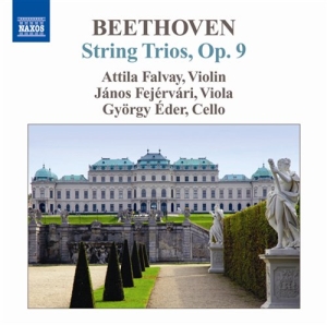 Beethoven - String Trios i gruppen CD hos Bengans Skivbutik AB (639464)